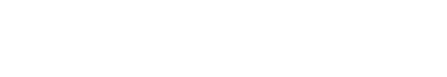 ZC -logo-nuevo